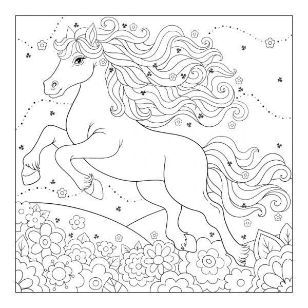 Розмальовка 200х200мм "Чарівні коні" 12стор. №743309/1В/(50)