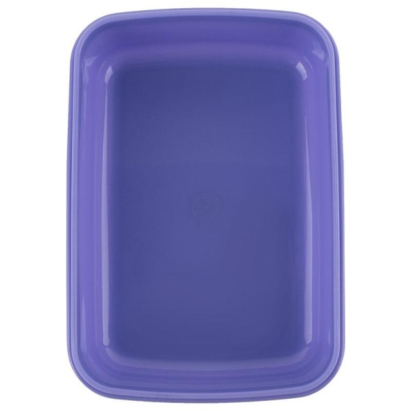 Ланч бокс пласт. "Kite" 420мл Rachael Hale №R25-160(12)