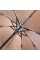 Парасолька жіноча автомат 8 спиць d-110 см (12) (60) №28768  