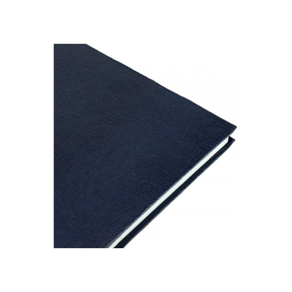 Зошит А4 96арк. кліт. тв.обкл. "Змія" синій №E21920-02/Economix/(5)