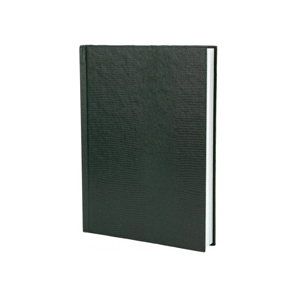 Зошит А4 96арк. кліт. тв.обкл. "Змія" зелений №E21920-04/Economix/(5)