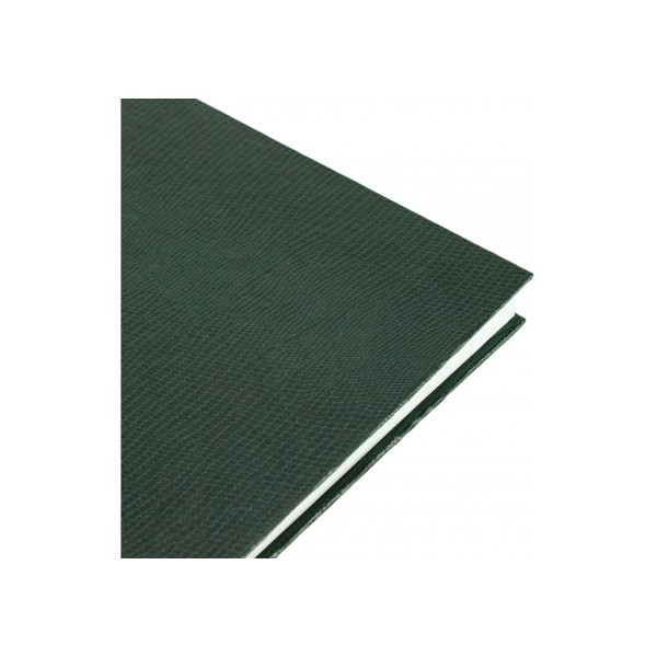 Зошит А4 96арк. кліт. тв.обкл. "Змія" зелений №E21920-04/Economix/(5)