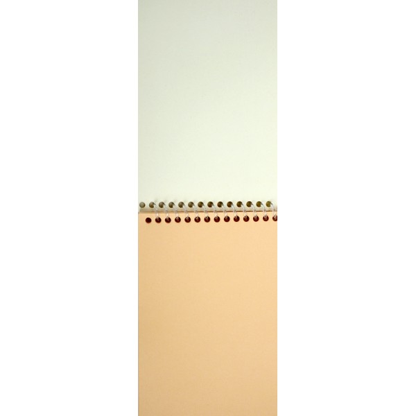 Блокнот пруж. А6 48арк. б/лін. пласт. Sponge Bob №SB25-196/Kite/(20)