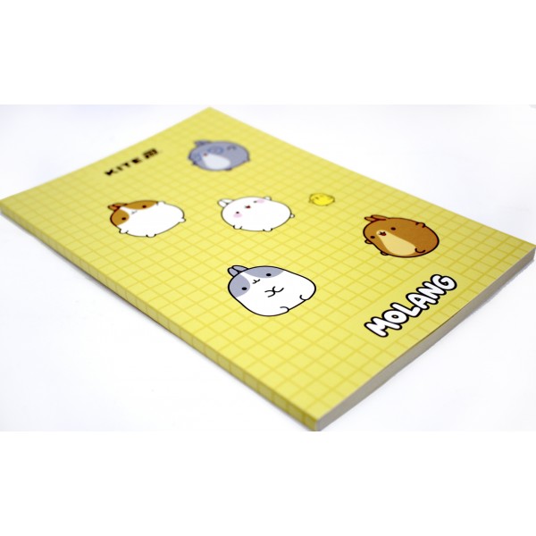 Блокнот А5 64арк. б/лін. м'яка обкл. Molang термобіндер №ML25-193/Kite/(10)