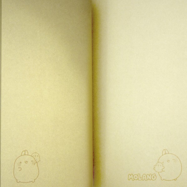 Блокнот А5 64арк. б/лін. м'яка обкл. Molang термобіндер №ML25-193/Kite/(10)