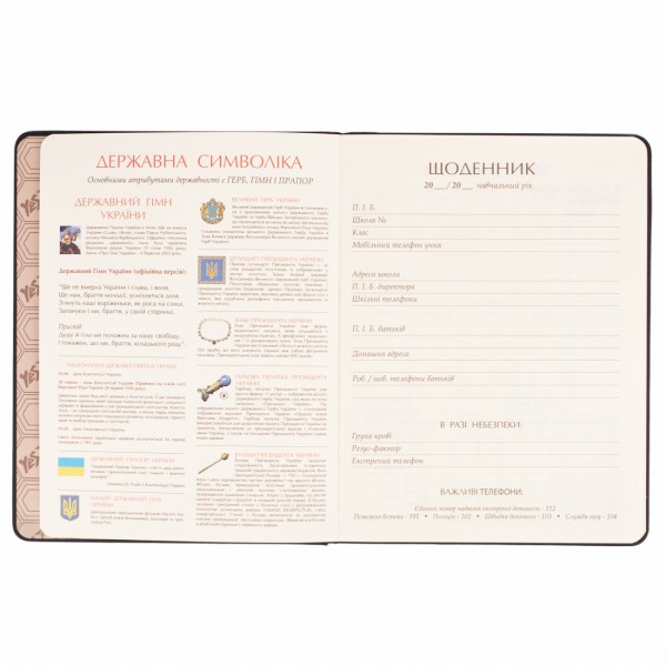 Щоденник шк. А5 тв.обкл. "Soccer" №911608/Yes/(20)(40)