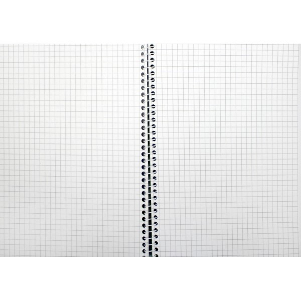 Блокнот пруж. бок. А5 80арк. кліт. пласт. обкл. №E20307/Economix/(4)(56)