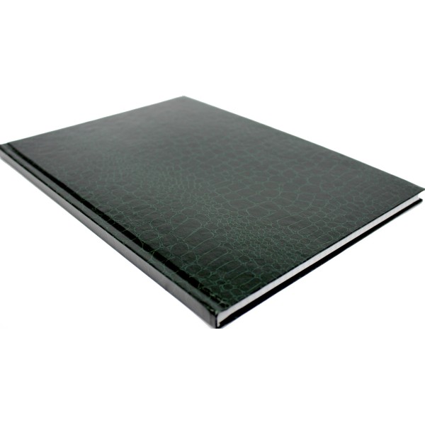 Зошит А4 96арк. кліт. тв.обкл. "Кроко" темно-зелений №E21921-43/Economix/(5)(20)