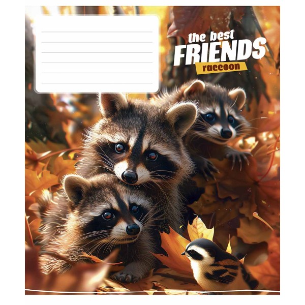 Зошит 12арк. кос.лін. Школярик "" ВД-лак №012-3434C(30)(300)