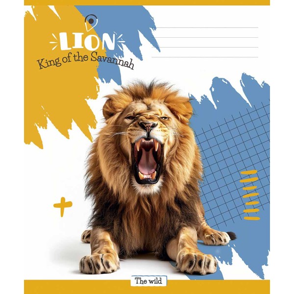 Зошит 18арк. кліт. Star ВД-лак №018-3421K(25)(250)