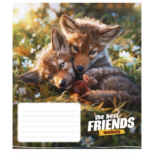 Зошит 12арк. кліт. Школярик ВД-лак №012-3434K(30)(300)