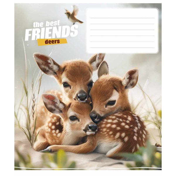 Зошит 12арк. кліт. Школярик ВД-лак №012-3434K(30)(300)