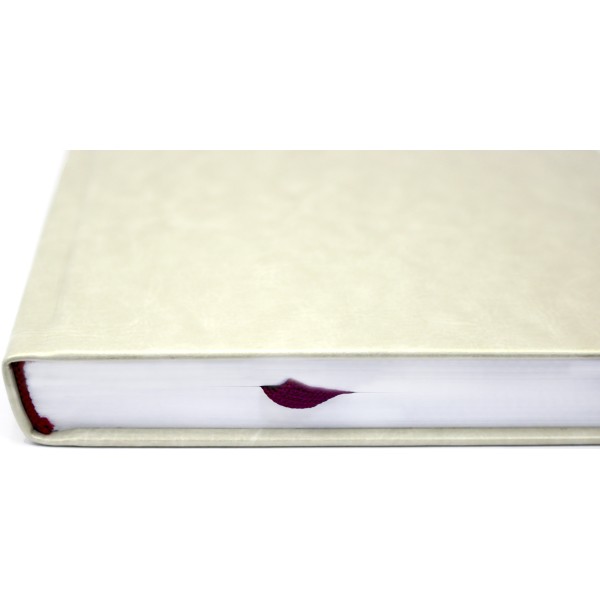 Ежедневник А5 Optima датированный 2025 Nebraska белый металлик №O25203-14