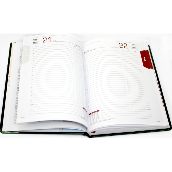 Щоден. А5 "Economix" дат2026 Samba темно-зелений №E21694-49(20)