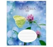 Зошити учнівські кольорові