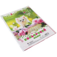 Набір кольорового паперу А4 9 листів Кращі друзі (1) (20) (420) 18496 Поділля