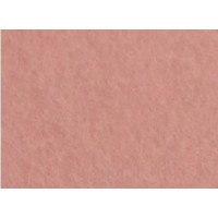 Фетр жорсткий Santi 21х30 см тілесний (10) 741840