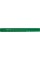 Лінійка пластикова матова 30см Axent зелена для кульковї ручки (72) 7530-05 