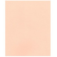 Бумага для пастели Tiziano А4 rosa 21х29,7 см 160 г/м2 25 розовая (10) 16F4125