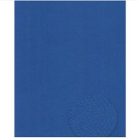 Бумага для пастели Tiziano А4 danubio 21х29,7 см 160 г/м2 19 темно-синяя (10) 16F4119