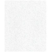 Бумага для пастели Tiziano А4 brina 21 х29,7 см 160 г / м2 16F4132 (белый) (10) 32