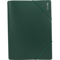 Папка на резинке для документов Economix А4 пластиковая зеленая (1) (20) E31601-04 