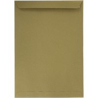 Конверт почтовый C3 (0+0) самоклеящийся крафт (20) 31933030