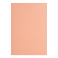 Фоамиран А4 Santi телесный темный (10) 742702