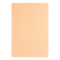 Фоамиран А4 Santi телесный (10) 742701