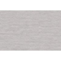 Бумага для пастели Tiziano А4 26 perla 21х29,7см 160г/м2, перламутровая (10) 16F4126