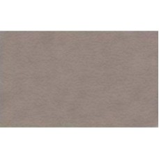 Папір для пастелі Tiziano А4 china 21х29,7 см 160 г/м2 28 кремовий (10) 16F4128