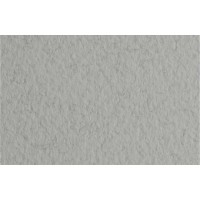 Папір для пастелі Tiziano nebbia 29 А4 21х29,7 см 160 г/м2 сірий (10) 16F4129