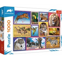  Пазлы Trefl 1000 элементов Дикая природа