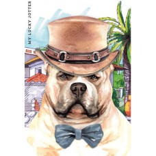  Блокнот A6 64 листа клетка матовая ламинация Мандарин (10) №9036/БК211/21/19375