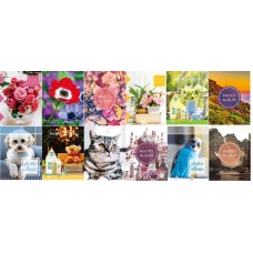 Фотоальбом 10х15x96 UFO Best PP-4696