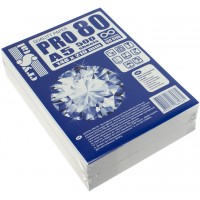 Папір для офісної техніки A5 Crystal Pro 80г/м2 С 500 аркушів (10)