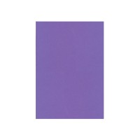  Фетр листовий поліестер Maxi 20х30 см 180 гр бузковий (10) №MX61622-48