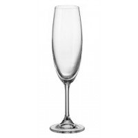  Набір келихів скло Bohemia Sylvia 6 шт 220 мл шампанське (8) №b4S415/6713