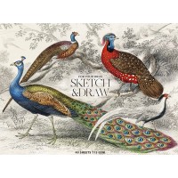 Альбом для ескізів та малювання склейка 40/115 A5+ Muse Школярик (1) (88) №PB-GB-040-068   