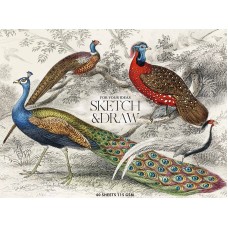 Альбом для ескізів та малювання склейка 40/115 A5+ Muse Школярик (1) (88) №PB-GB-040-068   