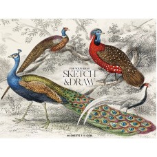 Альбом для ескізів та малювання склейка 40/115 А4+ "Muse" №PB-GB-040-067/Школярик/(1)(44)