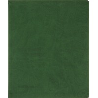 Щоденник шк. шкірзам. В5 "CoolForSchool" №CF29935-04 з тисненням 48арк,зелений(40)