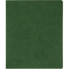 Щоденник шк. шкірзам. В5 "CoolForSchool" №CF29935-04 з тисненням 48арк,зелений(40)
