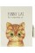 Блокнот на замку Funny cat A6 64 аркуші в коробці (96) DSCN4091
