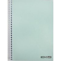 Блокнот пруж. бок. А5 80арк. кліт. пласт. обкл. №E20308/Economix/(4)(56)