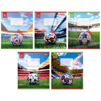 Зошит 36арк. кліт. 1В Win №767056(15)(240)