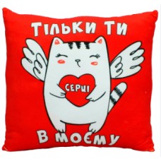 М'яка ігр. "Подушка з принтом №2, вітальна 2" 32x10х32 №00862-0099