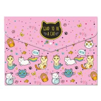 Папка-конверт CoolForSchool A5 Colorfull на кнопке (12) (120) CF32013-01