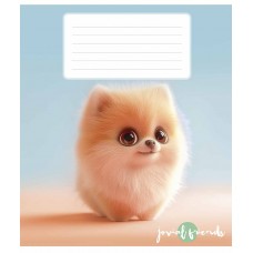 Зошит 12арк. кос. лін. Школярик дівч. ВД-лак №012-3489C(30)(300)