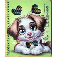 Щоденник шк. на спіралі А5 №SD1904/6709 40арк. тв. обкл./Мандарин/(80)